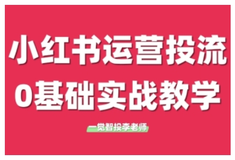 小红书运营投流，小红书广告投放从0到1的实战课，学完即可开始投放（更新26年）-蓝天网创