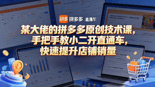 某大佬的拼多多原创技术课，手把手教小二开直通车，快速提升店铺销量-蓝天网创