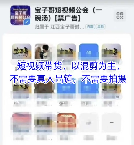 宝子哥头部团队短视频带货，以混剪为主，不需要真人出镜，不需要拍摄【更新26年3月】-蓝天网创