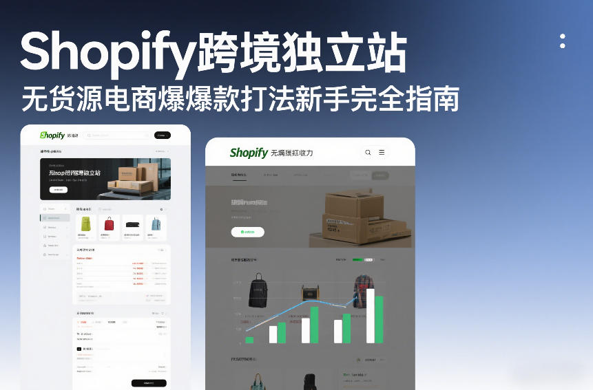 Shopify跨境独立站无货源电商爆款打法新手完全指南-蓝天网创