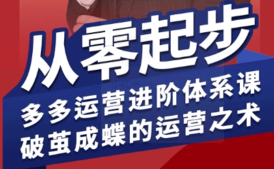 拼多多运营进阶系统课，从零起步，多多运营进阶体系课，破茧成蝶的运营之术（更新26年4月）-蓝天网创