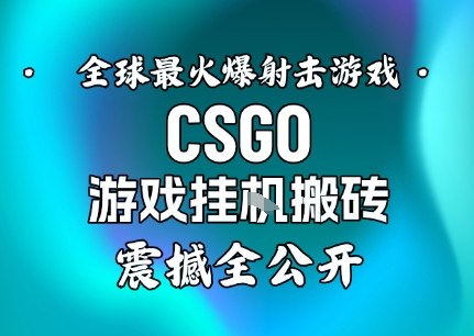 【年底大揭秘】基于全球最火爆的射击CSGO游戏挂G搬砖，日入5张+，震撼公开-蓝天网创