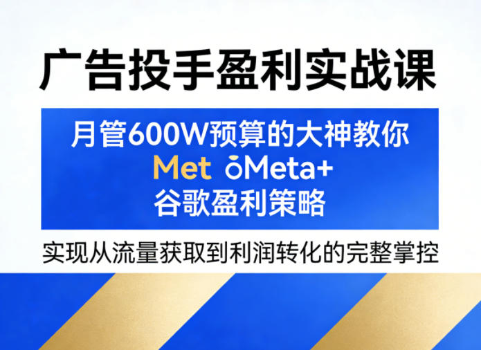 广告投手盈利实战课，月管600W预算的大神教你Meta+谷歌盈利策略，实现从流量获取到利润转化的完整掌控-蓝天网创