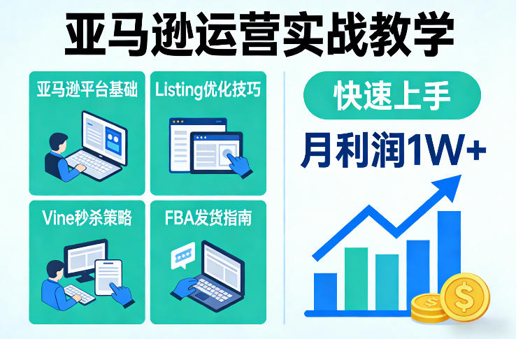 亚马逊运营实战教学，亚马逊平台+Listing优化+Vine秒杀+FBA发货等，快速上手，实现店铺月利润1W-蓝天网创