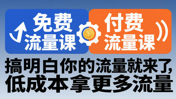 拼多多免费流量课+付费流量课，搞明白你的流量就来了，低成本拿更多流量-蓝天网创