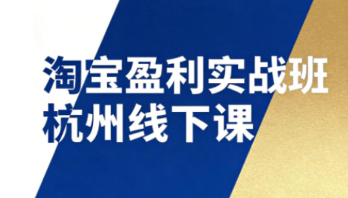 淘宝盈利实战班杭州线下课12月26-28日（音频+字幕），帮你掌握SOP流程+12门核心技术-蓝天网创