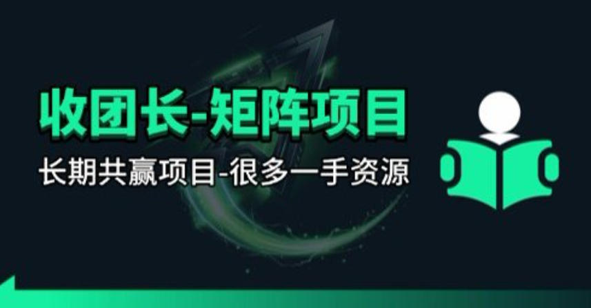【团长合作】视频矩阵项目_招发手矩阵+剪辑师，共赢项目【揭秘】-蓝天网创