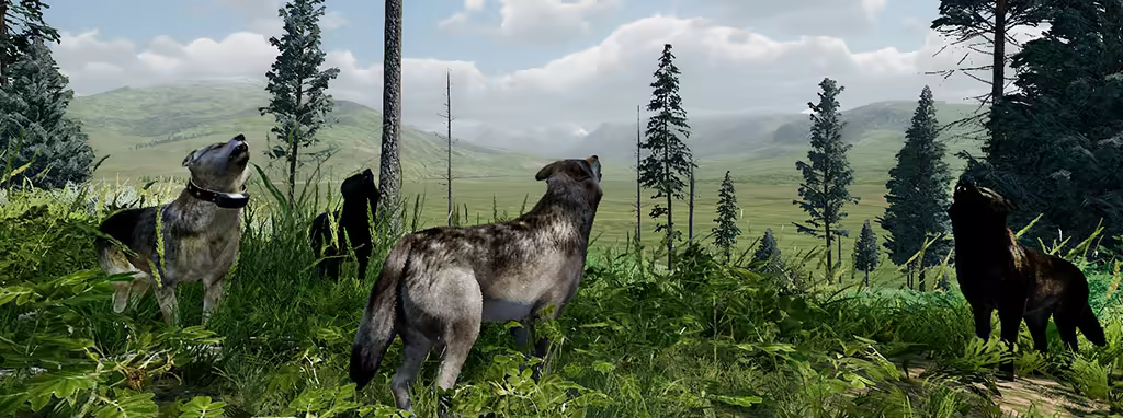 野狼谜踪：周年纪念版|v20260130|官方中文|支持手柄|WolfQuest: Anniversary Edition