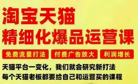 淘宝天猫精细化爆品运营课，免费流量打法-付费广告放大-利润增长-三大核心痛点，一次全部解决-蓝天网创