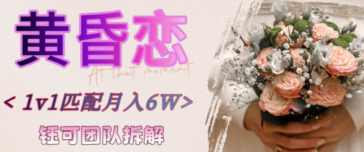 副业拆解：黄昏恋1对1匹配月入6个，潜力巨大-蓝天网创