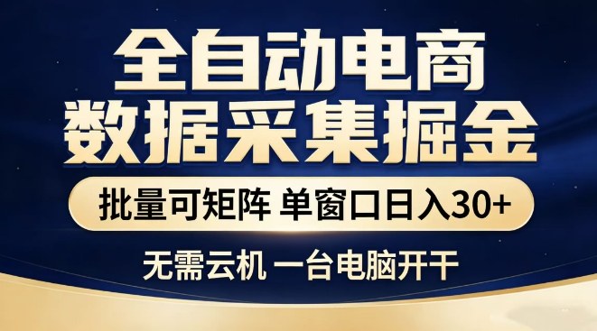 全自动电商数据集掘金，批量可矩阵，单窗口日入30+，无需云机，一台电脑开干【揭秘】-蓝天网创