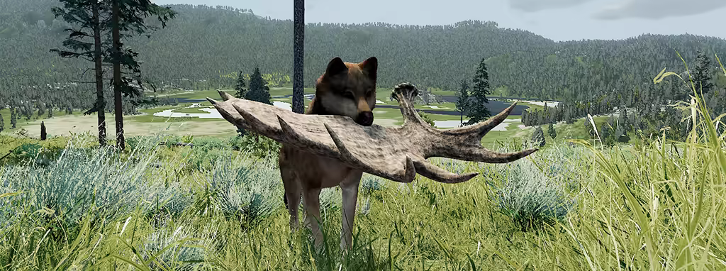 野狼谜踪：周年纪念版|v20260130|官方中文|支持手柄|WolfQuest: Anniversary Edition