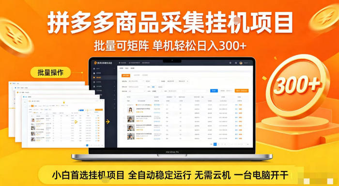 拼多多商品信息全自动采集项目，批量可矩阵，单机轻松日入300+，无需云机一台电脑开干【揭秘】-蓝天网创