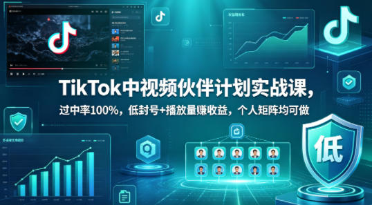 TikTok中视频伙伴计划实战课，过中率100%，低封号+播放量賺收益，个人矩阵均可做-蓝天网创