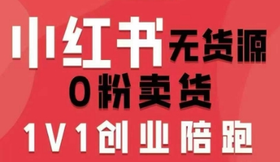 小红书无货源0粉电商课，开店准备、选品策略、笔记撰写、视频剪辑、数据分析、账号打造、资料文档（更新26年1月）-蓝天网创