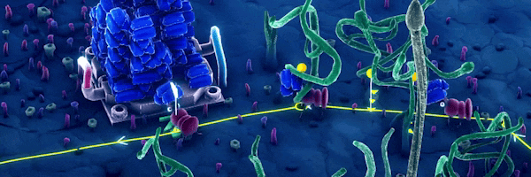 蚁托邦|v20260224|官方中文|Microtopia