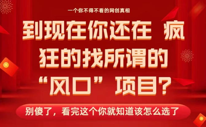 马上26年了，你还在找所谓的风口项目？别傻了，看完这个你全都懂了！【揭秘】-蓝天网创