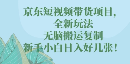 京东短视频带货项目，全新玩法，无脑搬运复制，新手小白日入好几张!-蓝天网创