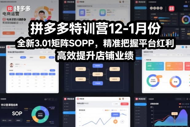 拼多多特训营12-1月份，全新3.01矩阵Sop，精准把握平台红利，高效提升店铺业绩-蓝天网创