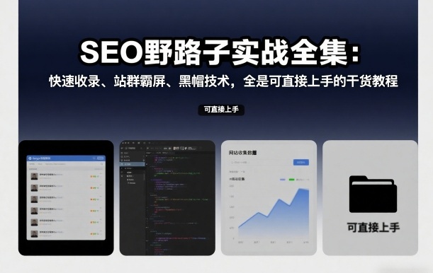 SEO野路子实战全集：快速收录、站群霸屏、黑帽技术，全是可直接上手的干货教程-蓝天网创