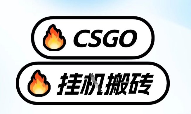真全网独家CSGO挂G，最新玩法,单日捡漏1K+，不用电脑，不用打游戏【揭秘】-蓝天网创