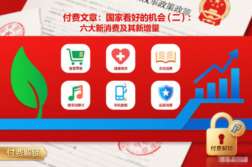 付费文章：国家看好的机会(二)：六大新消费及其新增量-蓝天网创