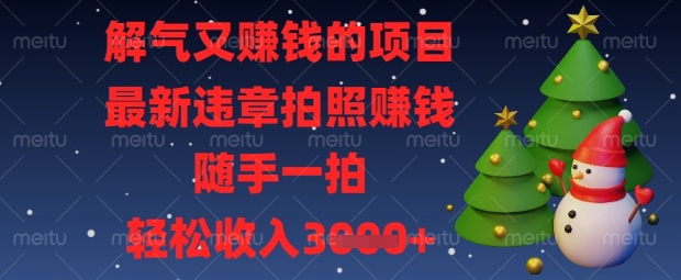解气又挣钱的项目，最新违章拍照挣钱，随手一拍，轻松收入数张【揭秘】-蓝天网创
